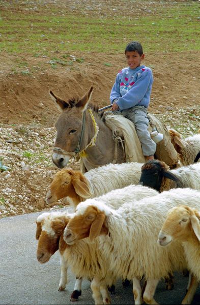 Famille de bédouins, amis de Khaled, croisés sur la route