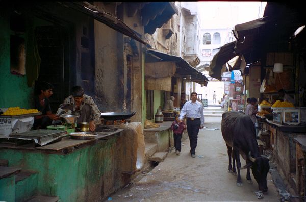 Une rue un peu atypique de Pushkar. Les autres sont remplies de boutiques de fringues pour baba cools et de petits restos. Ici, c'est la rue des restos indiens.
