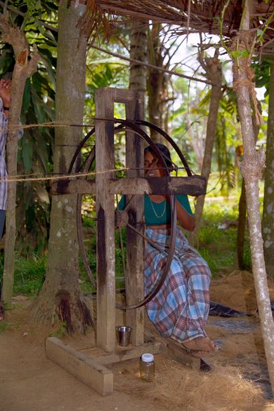 Fabrication de corde... la dame tourne la roue pendant que deux autres femmes filent la fibre de noix de coco