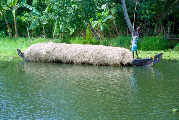 Transport d'herbe seche