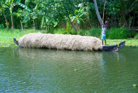 Transport d'herbe seche