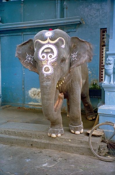 Ganesh en personne devant le temple