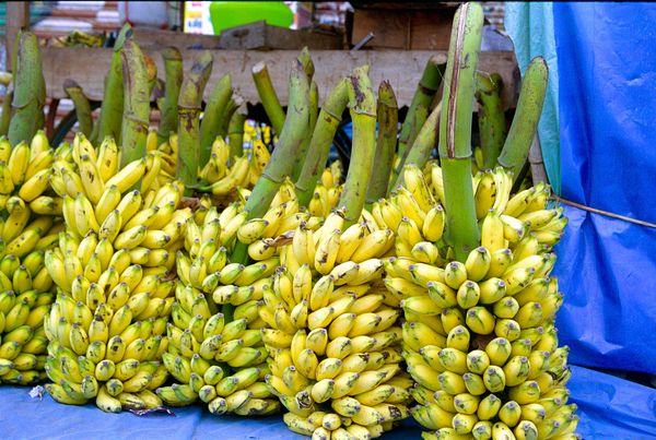 Marché près du bus stand