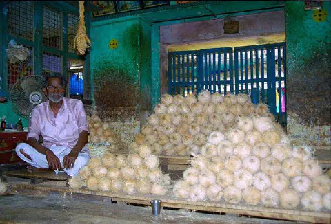 Noix de cocos