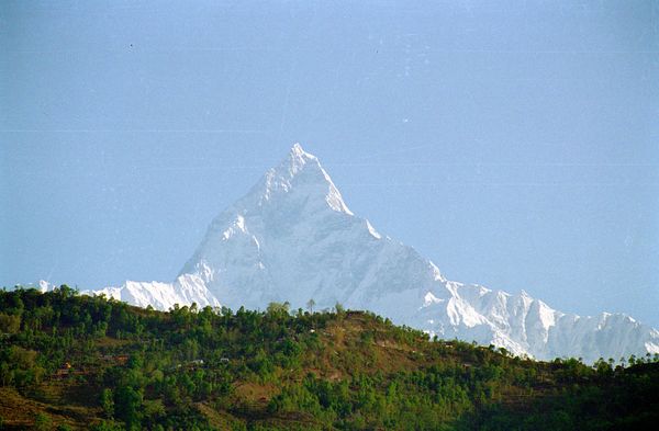 Machhpuchare (6993m) vu de Pokhare! Les neiges éternelles